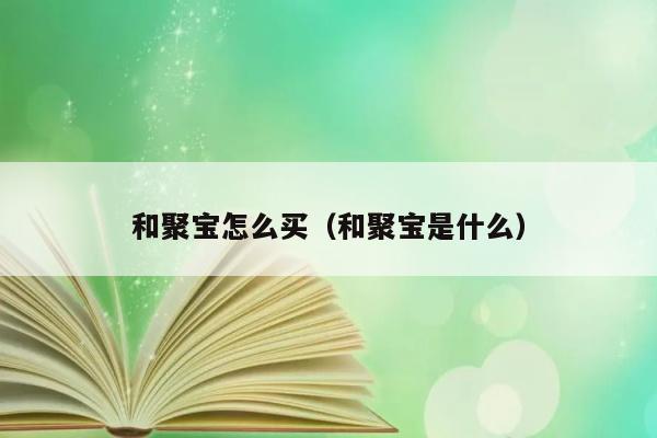 和聚宝怎么买（和聚宝是什么） 