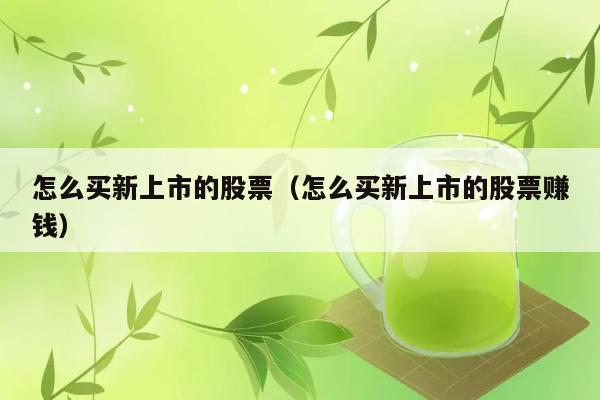 怎么买新上市的股票（怎么买新上市的股票赚钱） 