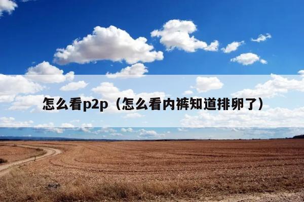 怎么看p2p（怎么看内裤知道排卵了） 