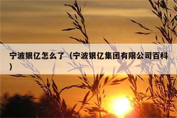 宁波银亿怎么了（宁波银亿集团有限公司百科） 