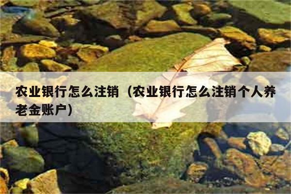 农业银行怎么注销（农业银行怎么注销个人养老金账户） 