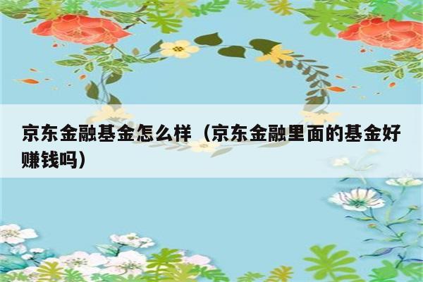 京东金融基金怎么样（京东金融里面的基金好赚钱吗） 