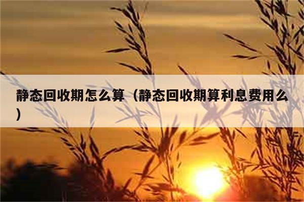 静态回收期怎么算（静态回收期算利息费用么） 