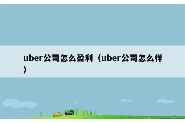 uber公司怎么盈利（uber公司怎么样） 