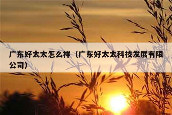 广东好太太怎么样（广东好太太科技发展有限公司） 