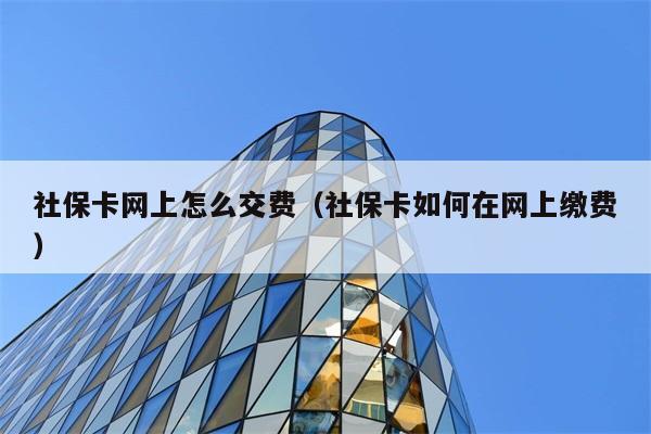 社保卡网上怎么交费（社保卡如何在网上缴费） 