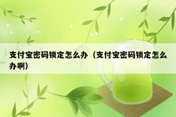 支付宝密码锁定怎么办（支付宝密码锁定怎么办啊） 