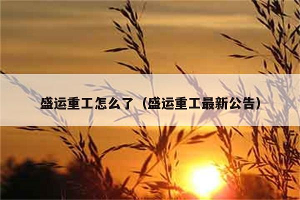 盛运重工怎么了（盛运重工最新公告） 