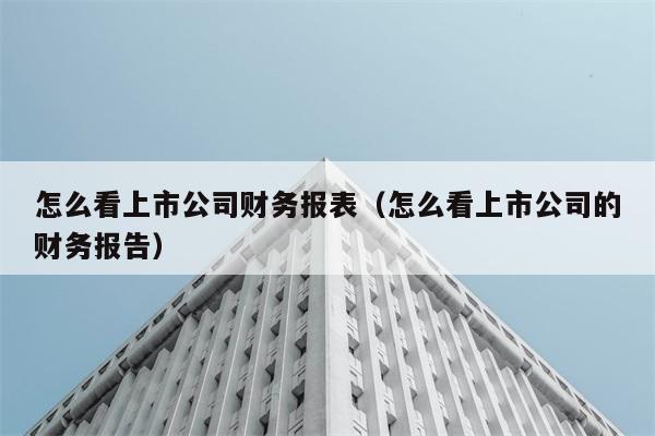 怎么看上市公司财务报表（怎么看上市公司的财务报告） 