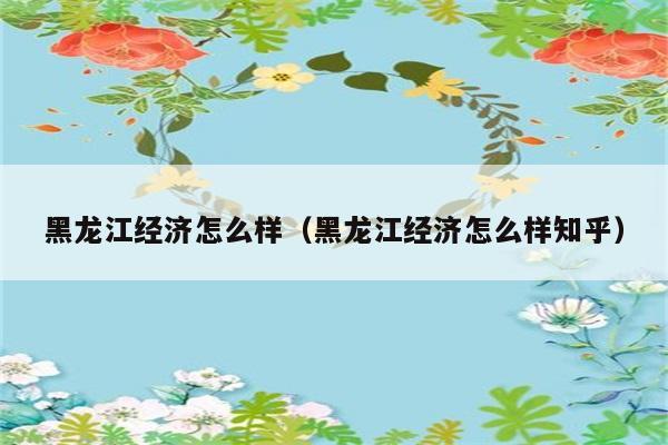 黑龙江经济怎么样（黑龙江经济怎么样知乎） 