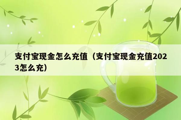 支付宝现金怎么充值（支付宝现金充值2023怎么充） 