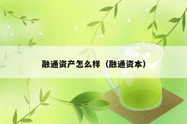 融通资产怎么样（融通资本） 