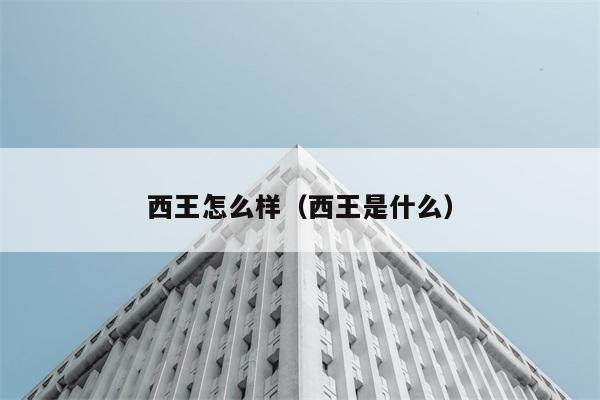 西王怎么样（西王是什么） 