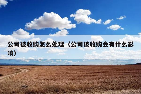 公司被收购怎么处理（公司被收购会有什么影响） 