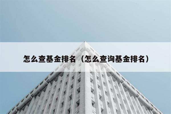 怎么查基金排名（怎么查询基金排名） 