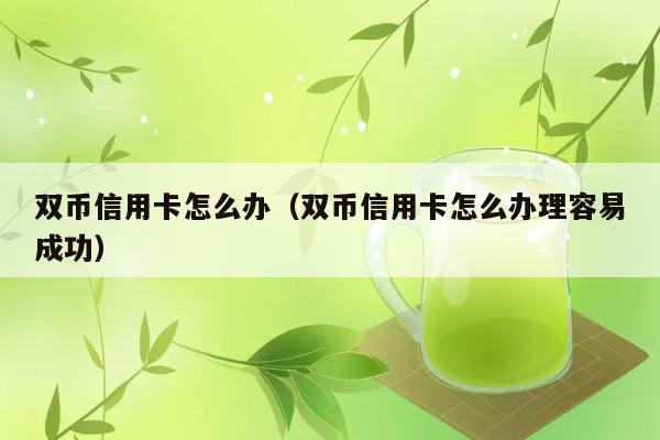 双币信用卡怎么办（双币信用卡怎么办理容易成功） 