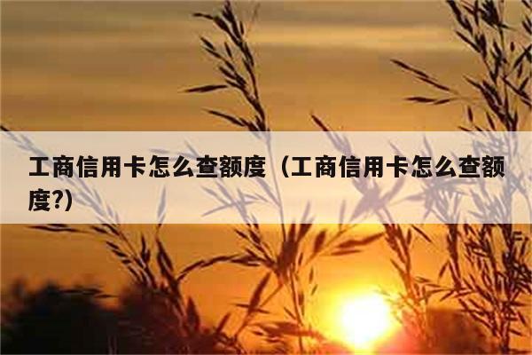 工商信用卡怎么查额度（工商信用卡怎么查额度?） 