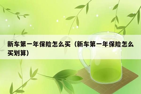 新车第一年保险怎么买（新车第一年保险怎么买划算） 