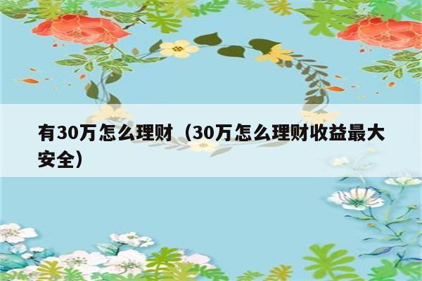 有30万怎么理财（30万怎么理财收益最大安全） 