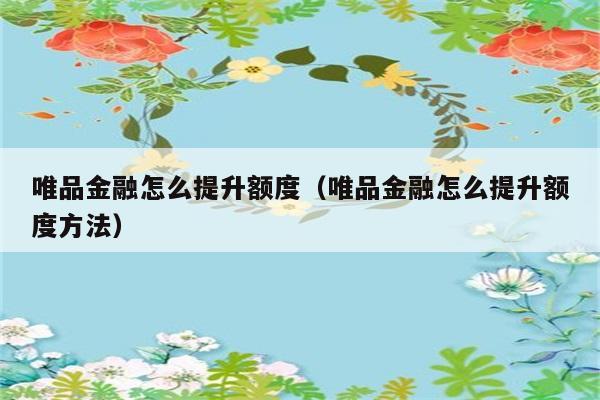 唯品金融怎么提升额度（唯品金融怎么提升额度方法） 