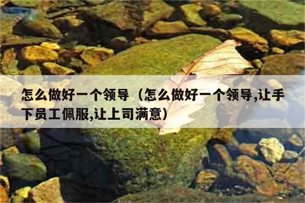 怎么做好一个领导（怎么做好一个领导,让手下员工佩服,让上司满意） 