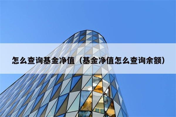 怎么查询基金净值（基金净值怎么查询余额） 