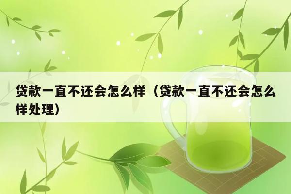 贷款一直不还会怎么样（贷款一直不还会怎么样处理） 