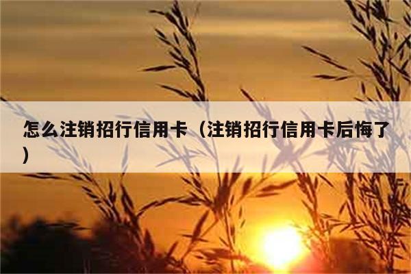 怎么注销招行信用卡（注销招行信用卡后悔了） 