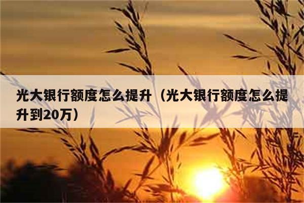 光大银行额度怎么提升（光大银行额度怎么提升到20万） 