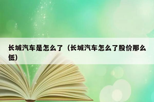 长城汽车是怎么了（长城汽车怎么了股价那么低） 