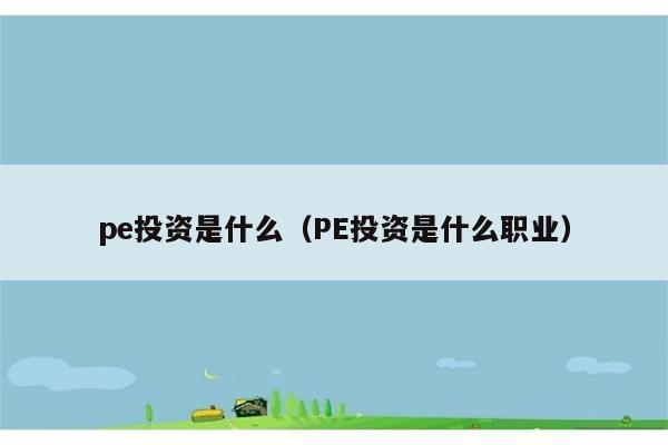 pe投资是什么（PE投资是什么职业） 