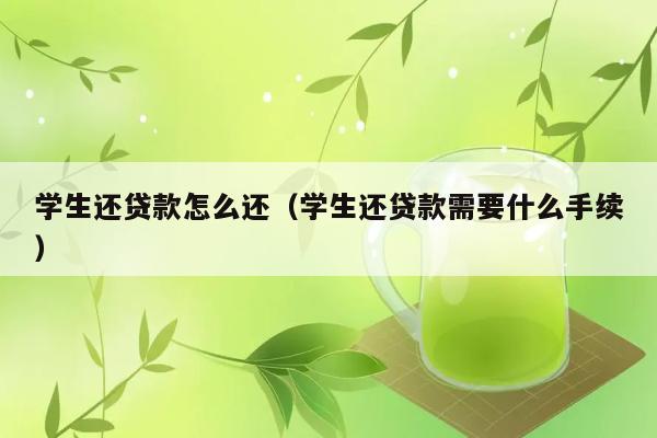 学生还贷款怎么还（学生还贷款需要什么手续） 