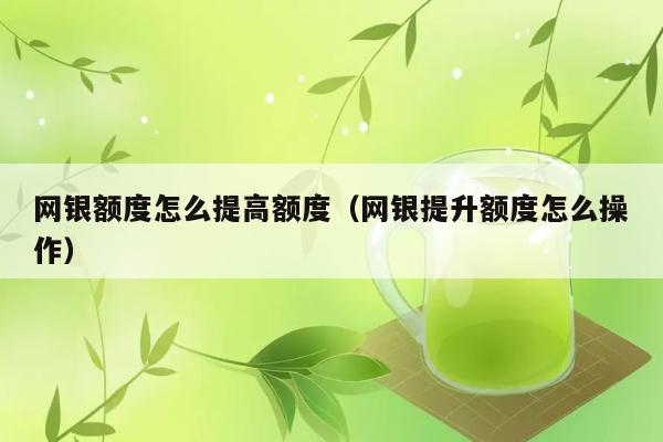 网银额度怎么提高额度（网银提升额度怎么操作） 