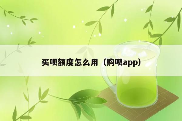 买呗额度怎么用（购呗app） 