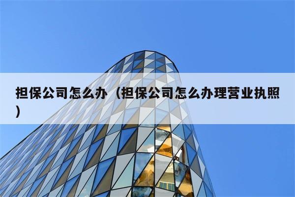 担保公司怎么办（担保公司怎么办理营业执照） 