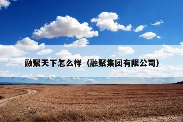 融聚天下怎么样（融聚集团有限公司） 