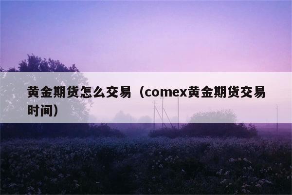 黄金期货怎么交易（comex黄金期货交易时间） 