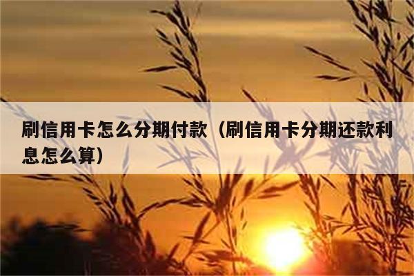 刷信用卡怎么分期付款（刷信用卡分期还款利息怎么算） 