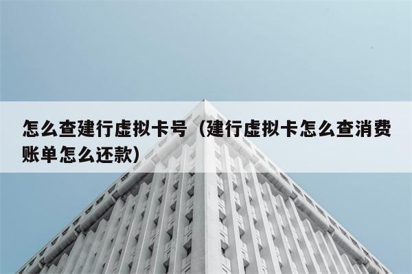 怎么查建行虚拟卡号（建行虚拟卡怎么查消费账单怎么还款） 