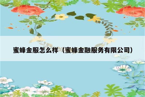 蜜蜂金服怎么样（蜜蜂金融服务有限公司） 