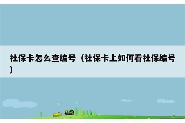 社保卡怎么查编号（社保卡上如何看社保编号） 