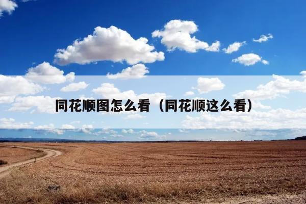 同花顺图怎么看（同花顺这么看） 