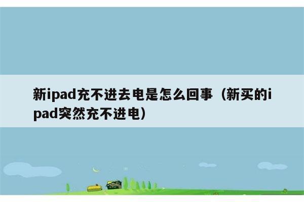 新ipad充不进去电是怎么回事（新买的ipad突然充不进电） 