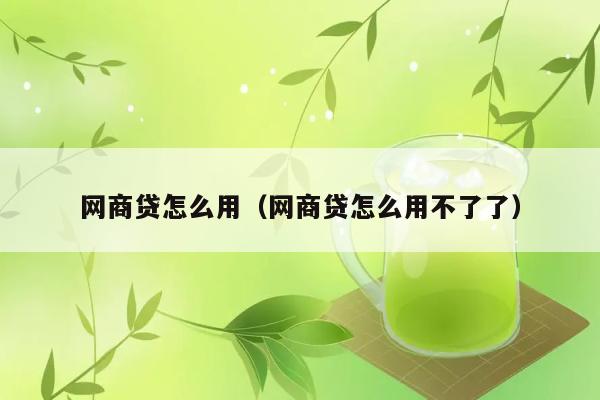 网商贷怎么用（网商贷怎么用不了了） 