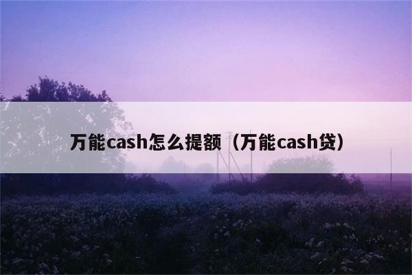 万能cash怎么提额（万能cash贷） 