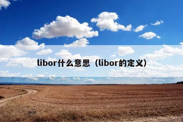 libor什么意思（libor的定义） 