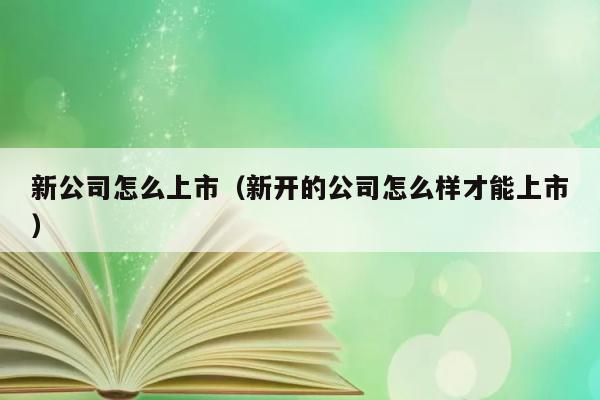 新公司怎么上市（新开的公司怎么样才能上市） 