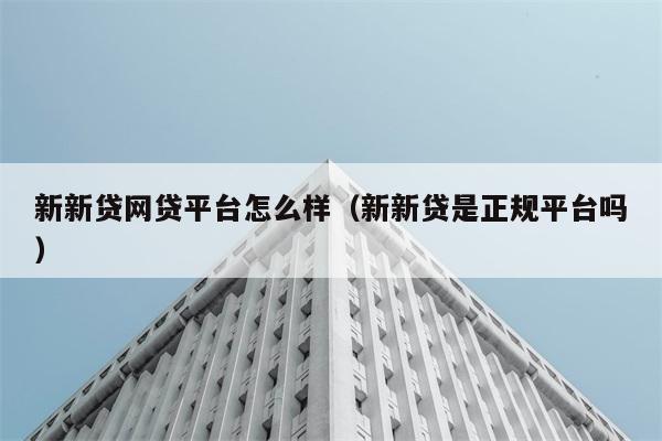 新新贷网贷平台怎么样（新新贷是正规平台吗） 