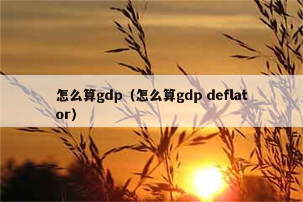 怎么算gdp（怎么算gdp deflator） 