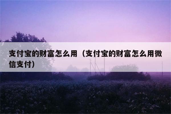 支付宝的财富怎么用（支付宝的财富怎么用微信支付） 